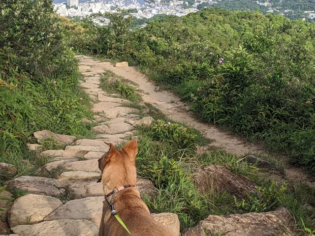 Ma On Shan Country Trail (Starting Point)
