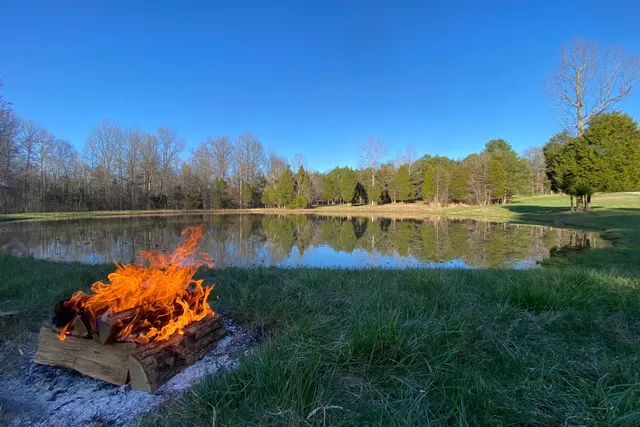 Nighthawk Forest Campground