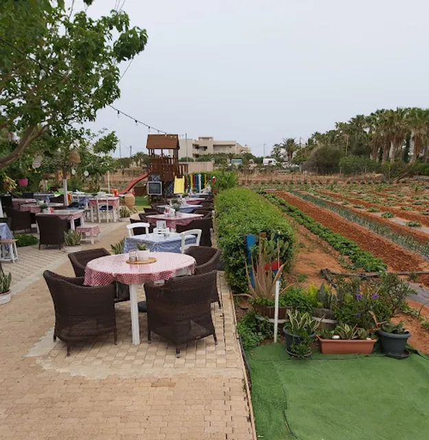 Mezes Garden Restaurant