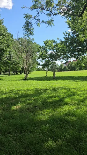 McKinley Park Community Garden