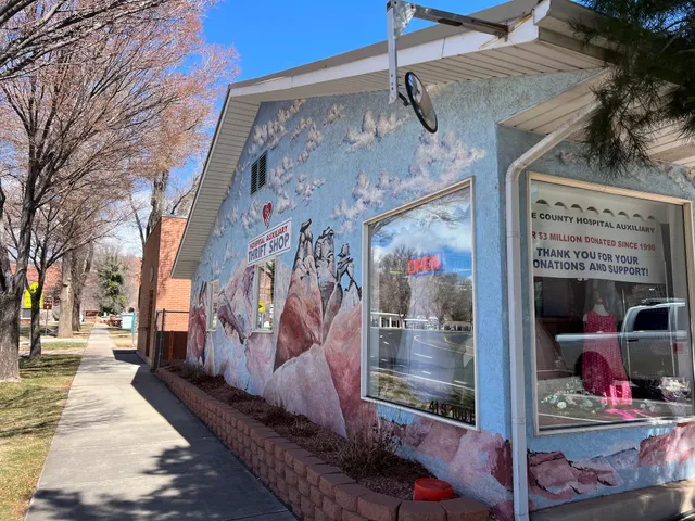 Kane Co. Hospital Thrift Store