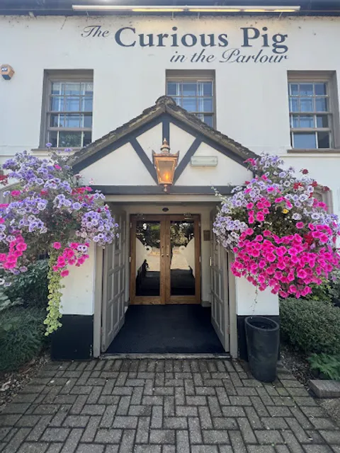 Curious Pig in the Parlour