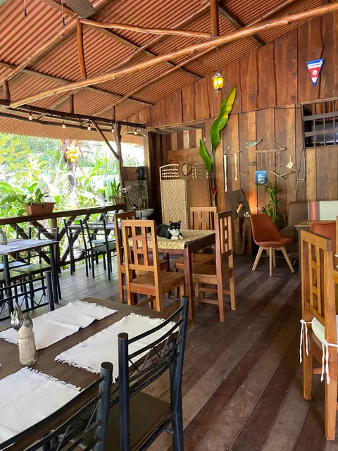 Feelovesophy Vegan Café