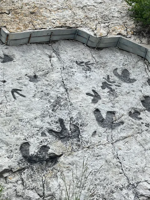 Dinosaur Tracksite
