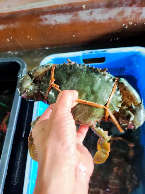 Ocean Keris - Crab Supplier
