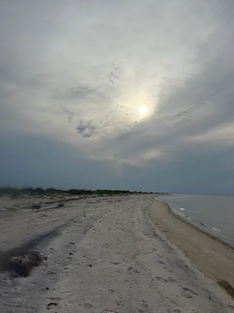 The Salty Dog Beach House