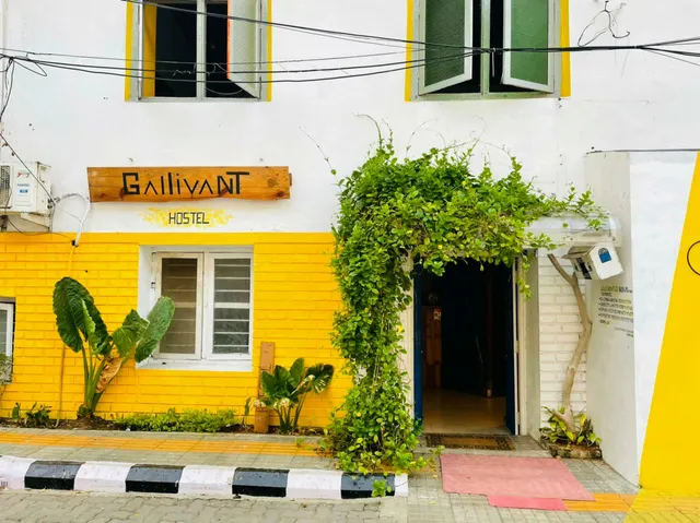 Gallivant staycation