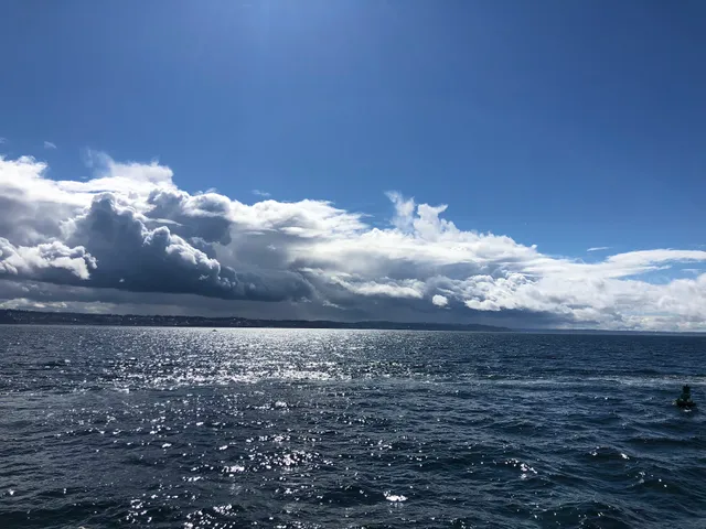 City of Des Moines Marina