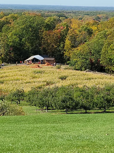 Mapleside Farms