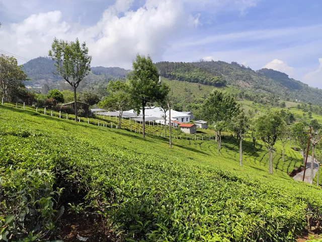 mysore ooty packages