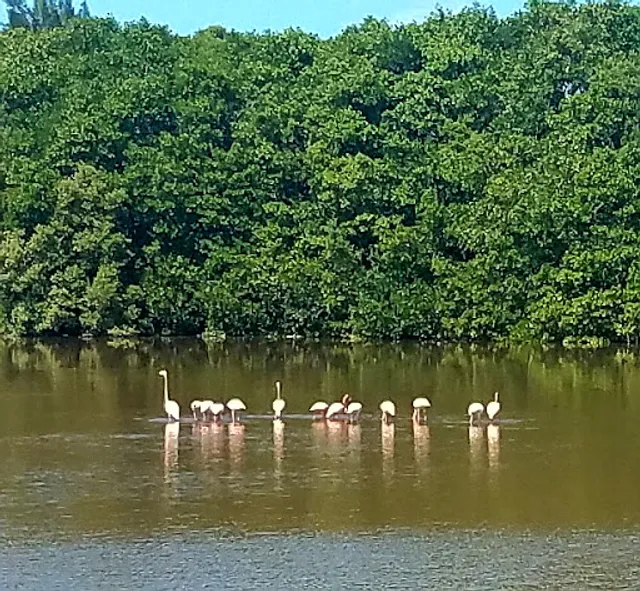 El Manglar Restaurant