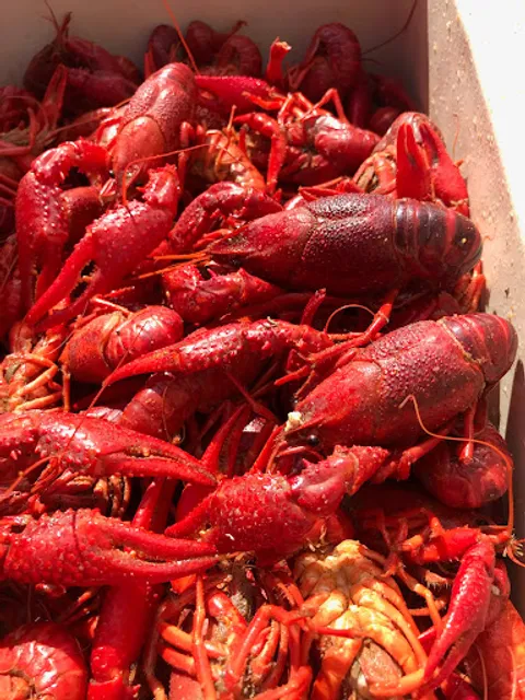 Boulet's Boil-N-Go (Rayne, La)