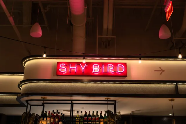 Shy Bird - Fenway