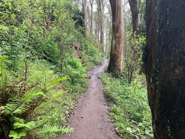 Historic Trail Trailhead