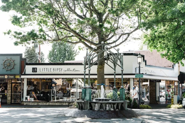 Little Bipsy Collection