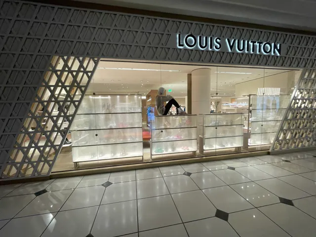Louis Vuitton Troy Somerset Mall