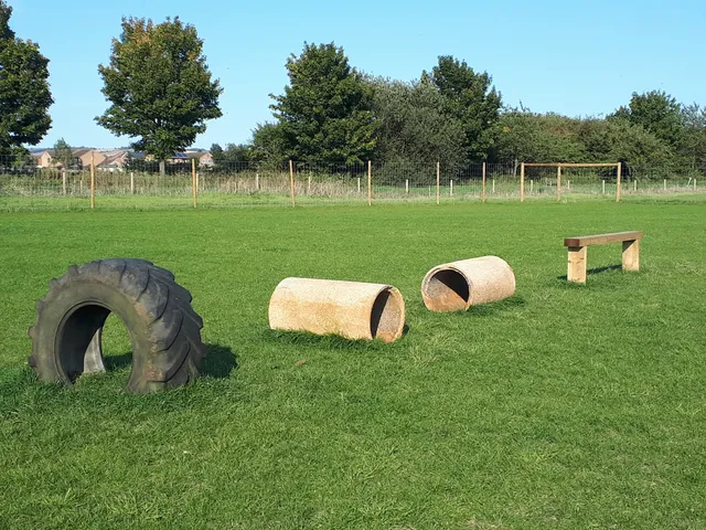 Barmby Fields - Dog Walking Field