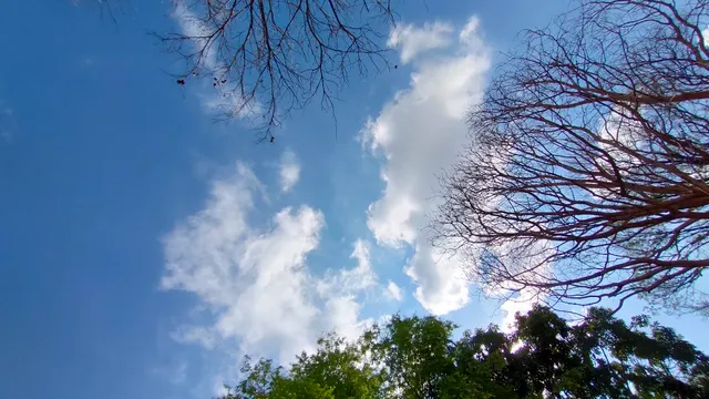 photo-2