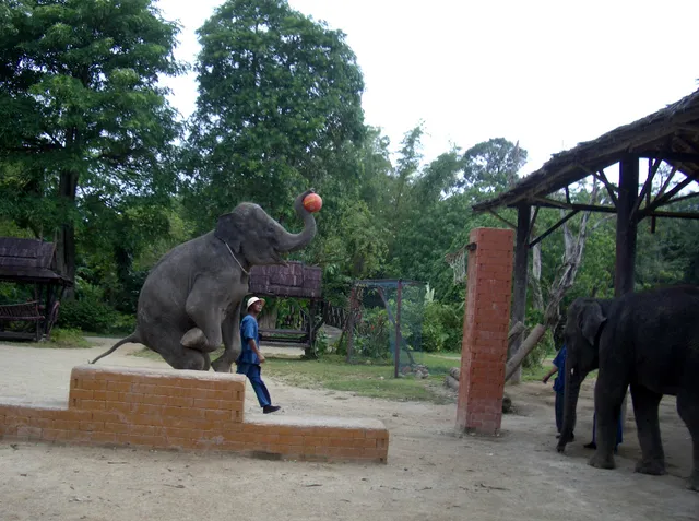 Kathu Elephant Park