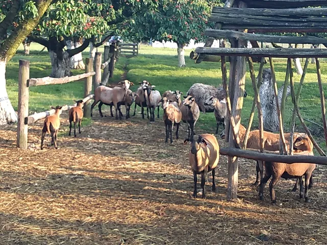 Agroturystyka Kmiecikówka