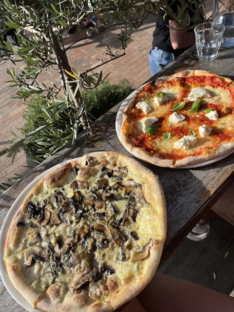 Volpino Pizzeria and Wine Bar