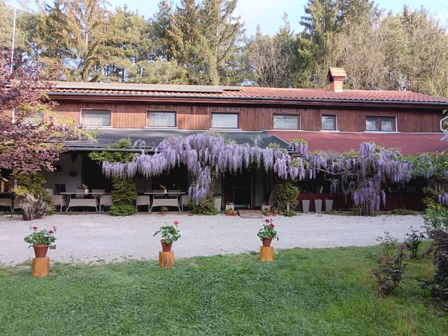 Őrségi Patakparti Alpaka Panzió és Farm