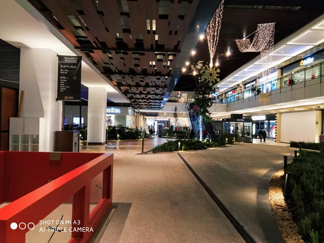 Delegación Cayetano Rubio