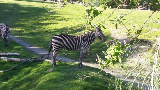 Seattle Rotary Education Center