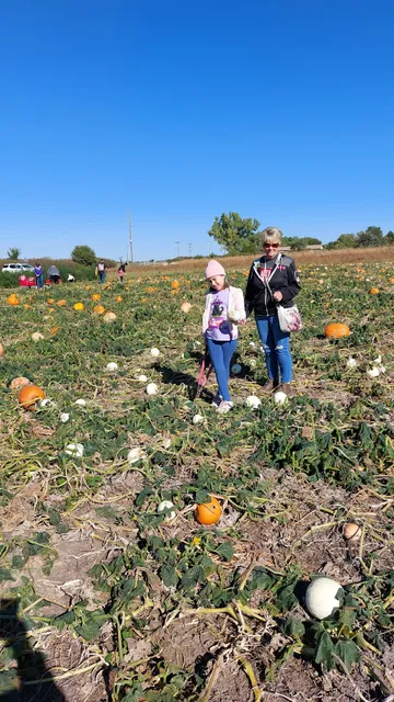 Long Pumpkin Patch