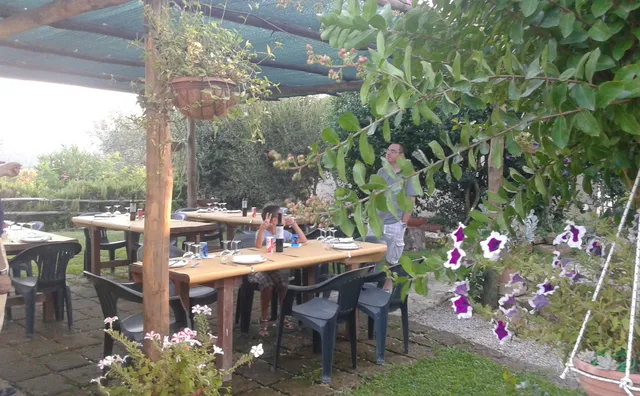 Le Colline di Capalbio