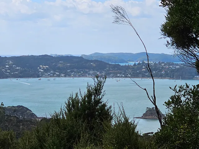 Paihia School Road Track / Opua Forest Lookout