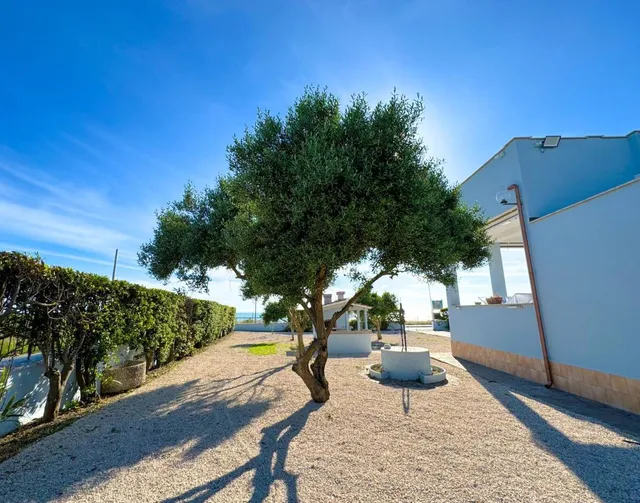 Edo House - Beachfront - Fronte Mare