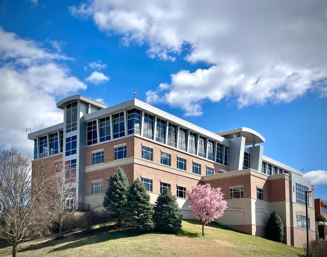 Stevenson University