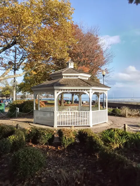 The Hummingbird Garden