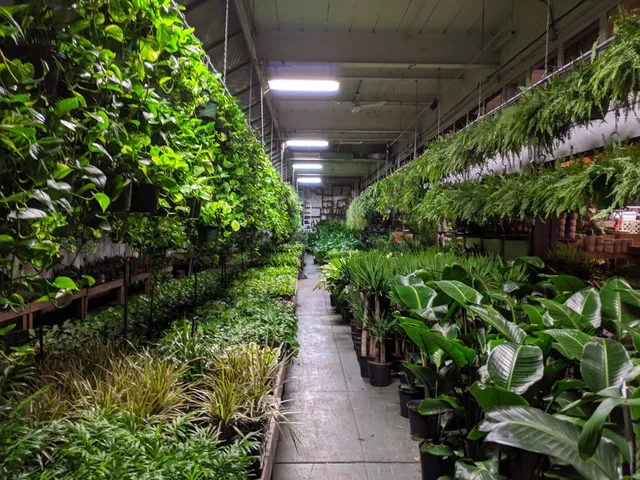 Brooklyn Plantology by Lapide