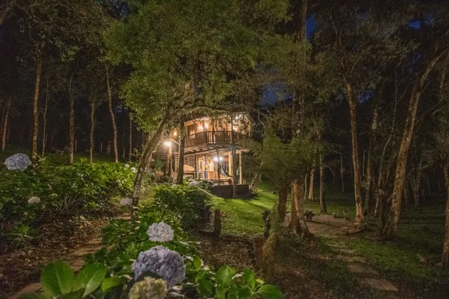 Casa Na Árvore Eventos