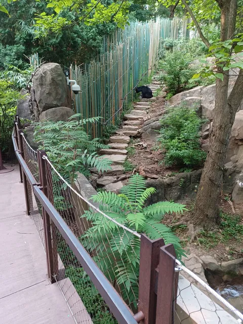 Sloth Bear Exhibit