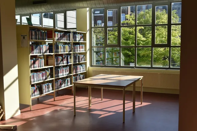 Leuven Public Library Tweebronnen