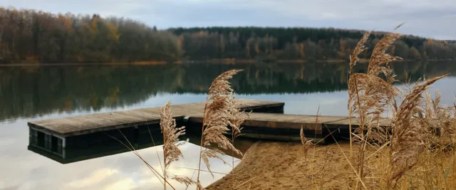 Tinylodge Ferienhäuser am Ellertshäuser See