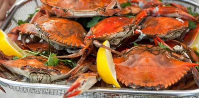 مطعم اكلة سمك