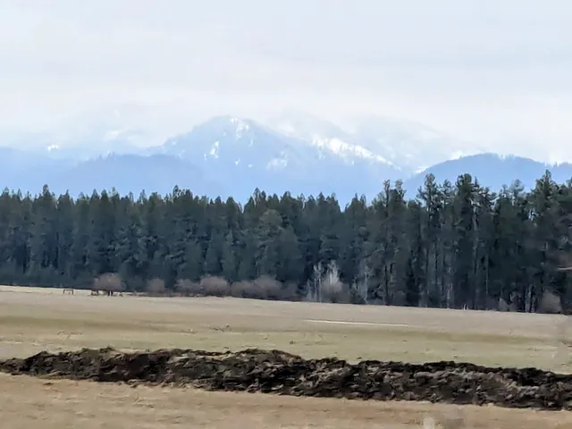 Cusick School District