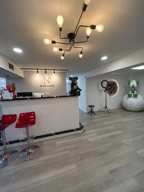 N+salon
