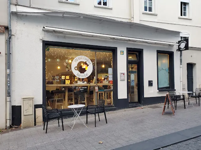 Cat Bar - Cats And Cookies