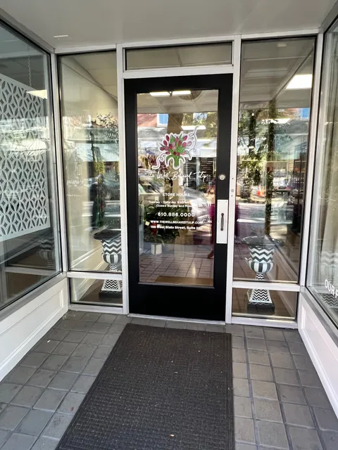 The Well Behaved Tulip