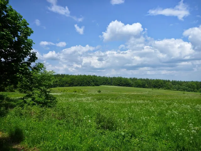 Ferienwohnung “Rote Villa”