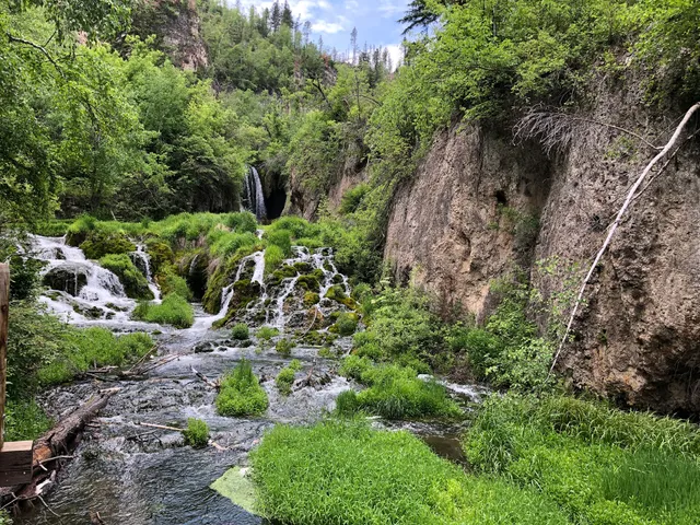 Roughlock Falls Trail