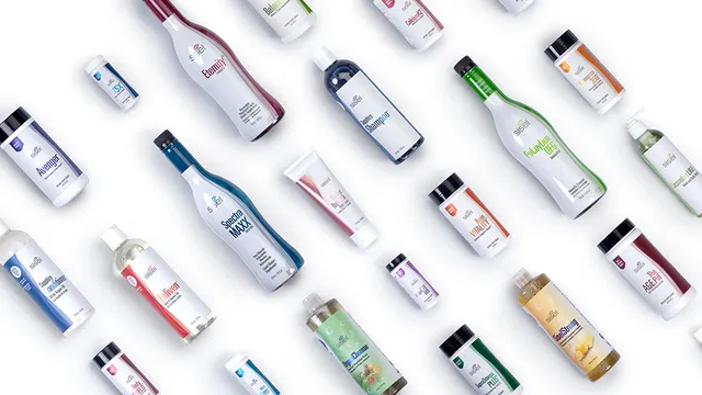 SISEL International, LLC