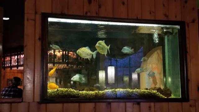 Coppola's Italian American Bistro