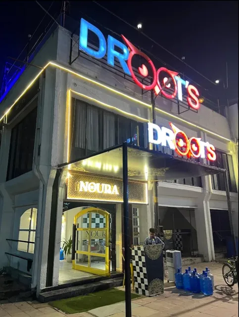 THE DROOTS