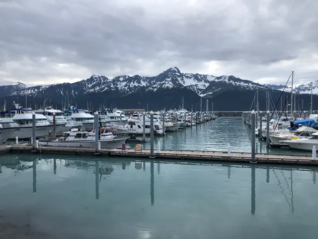 Kenai Fjords Cruise by Phillips Cruises & Tours